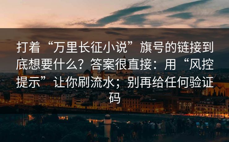打着“万里长征小说”旗号的链接到底想要什么？答案很直接：用“风控提示”让你刷流水；别再给任何验证码