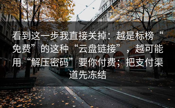 看到这一步我直接关掉：越是标榜“免费”的这种“云盘链接”，越可能用“解压密码”要你付费；把支付渠道先冻结