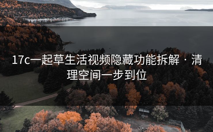 17c一起草生活视频隐藏功能拆解 · 清理空间一步到位 17c一起草生活视频隐藏功能拆解 · 清理空间一步到位