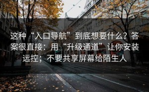 这种“入口导航”到底想要什么？答案很直接：用“升级通道”让你安装远控；不要共享屏幕给陌生人