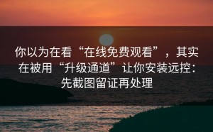 你以为在看“在线免费观看”，其实在被用“升级通道”让你安装远控：先截图留证再处理