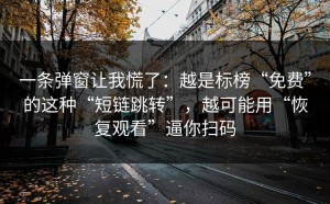 一条弹窗让我慌了：越是标榜“免费”的这种“短链跳转”，越可能用“恢复观看”逼你扫码