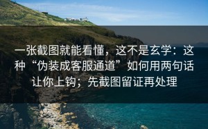 一张截图就能看懂，这不是玄学：这种“伪装成客服通道”如何用两句话让你上钩；先截图留证再处理