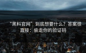 “黑料官网”到底想要什么？答案很直接：偷走你的验证码