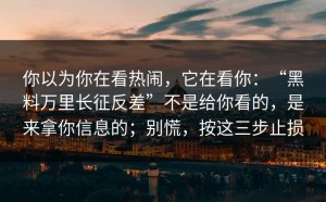 你以为你在看热闹，它在看你：“黑料万里长征反差”不是给你看的，是来拿你信息的；别慌，按这三步止损