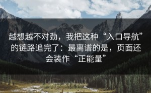 越想越不对劲，我把这种“入口导航”的链路追完了：最离谱的是，页面还会装作“正能量”