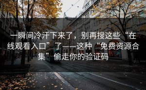 一瞬间冷汗下来了，别再搜这些“在线观看入口”了——这种“免费资源合集”偷走你的验证码