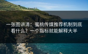 一张图讲清：蜜桃传媒推荐机制到底看什么？一个指标就能解释大半