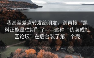 我甚至差点转发给朋友，别再搜“黑料正能量往期”了——这种“伪装成社区论坛”在后台装了第二个壳