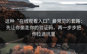 这种“在线观看入口”最常见的套路：先让你偷走你的验证码，再一步步把你拉进坑里