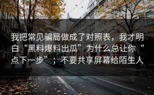 我把常见骗局做成了对照表，我才明白“黑料爆料出瓜”为什么总让你“点下一步”；不要共享屏幕给陌生人