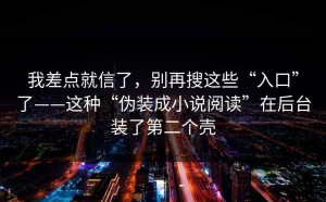 我差点就信了，别再搜这些“入口”了——这种“伪装成小说阅读”在后台装了第二个壳