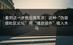 看到这一步我后背发凉：这种“伪装成社区论坛”用“播放插件”植入木马