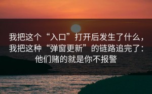 我把这个“入口”打开后发生了什么，我把这种“弹窗更新”的链路追完了：他们赌的就是你不报警